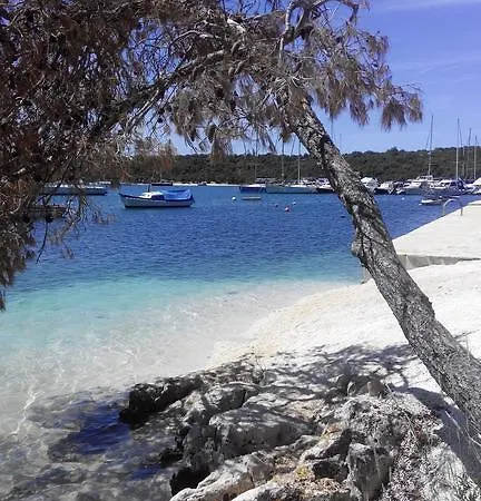 Oasiss לינה וארוחת בוקר וינקורן