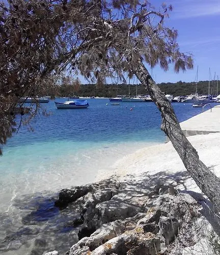 Oasiss Отель типа 